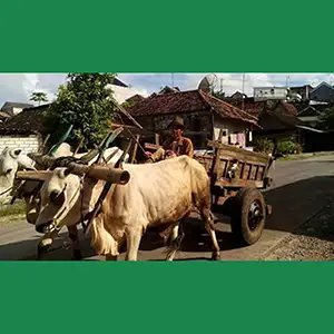 Soal Rizki, Jangan Pernah Berkompetisi.